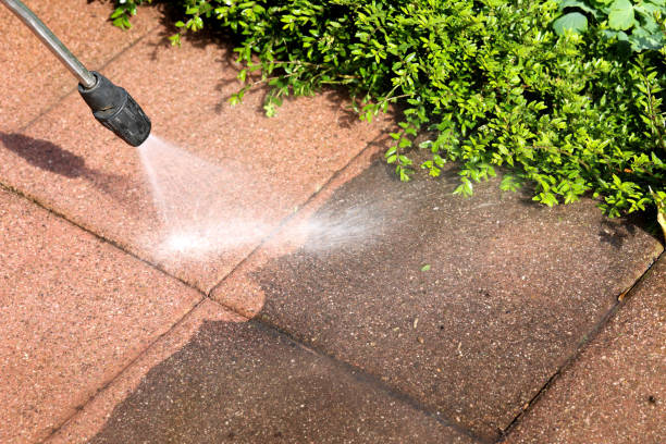Best Fence Pressure Washing  in Holgate, OH